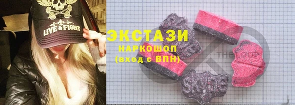 шишки Инта