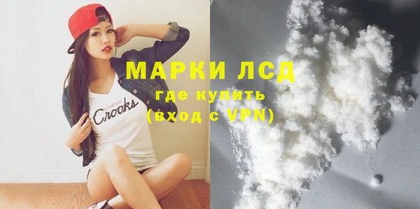 шишки Инта