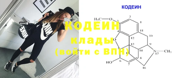 крисы Ессентукская