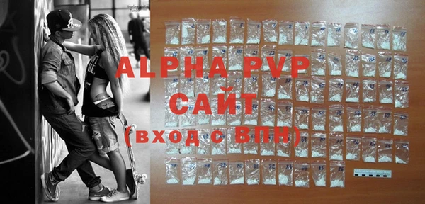 шишки Инта