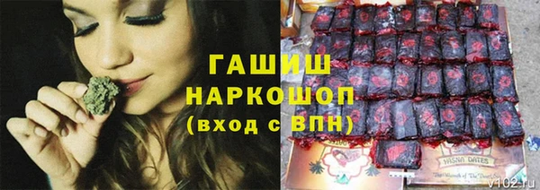 стаф Иннополис