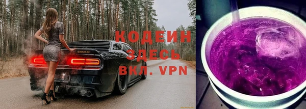 стаф Иннополис