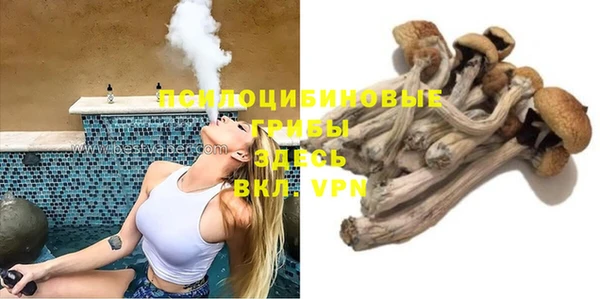 шишки Инта