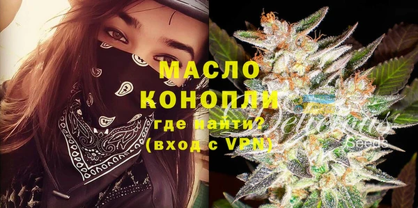 шишки Инта