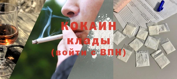 шишки Инта