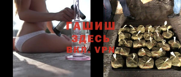 шишки Инта