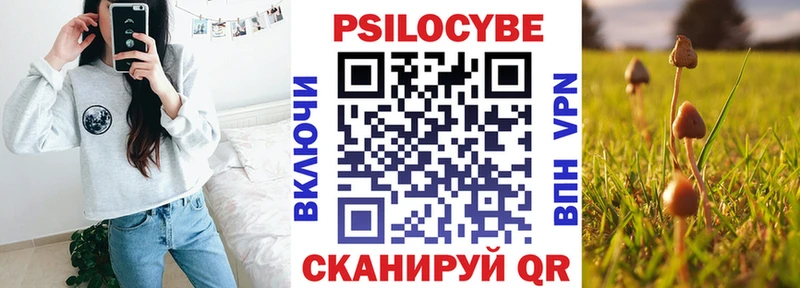 Купить где  Лахденпохья  Галлюциногенные грибы Cubensis 